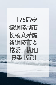75后安徽铜陵副市长杨文萍履新铜陵市委常委、枞阳县委书记