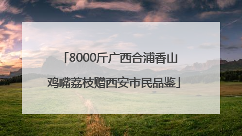8000斤广西合浦香山鸡嘴荔枝赠西安市民品鉴