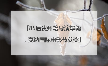 85后贵州籍导演毕赣，戛纳国际电影节获奖