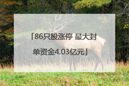 86只股涨停 最大封单资金4.03亿元