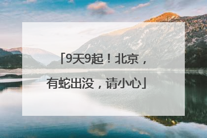 9天9起！北京，有蛇出没，请小心