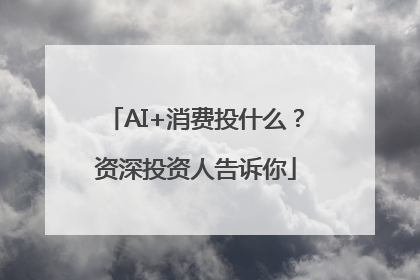 AI+消费投什么？资深投资人告诉你