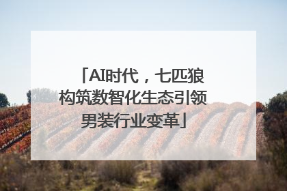 AI时代，七匹狼构筑数智化生态引领男装行业变革