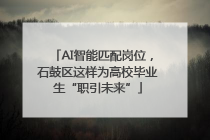 AI智能匹配岗位，石鼓区这样为高校毕业生“职引未来”