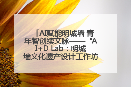 AI赋能明城墙 青年智创续文脉——“AI+D Lab：明城墙文化遗产设计工作坊”在南京开营