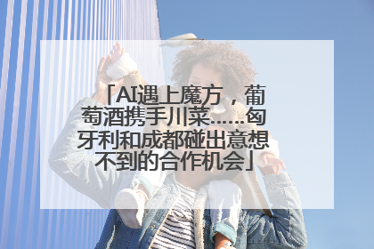 AI遇上魔方，葡萄酒携手川菜……匈牙利和成都碰出意想不到的合作机会
