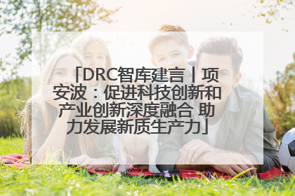 DRC智库建言丨项安波：促进科技创新和产业创新深度融合 助力发展新质生产力