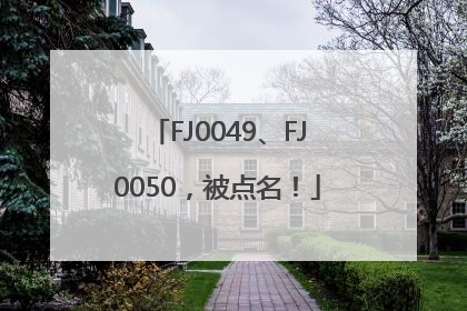 FJ0049、FJ0050，被点名！