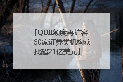 QDII额度再扩容，60家证券类机构获批超21亿美元